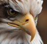 ai generated, bald eagle, eagle-8691079.jpg